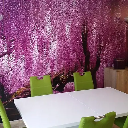 Wisteria *